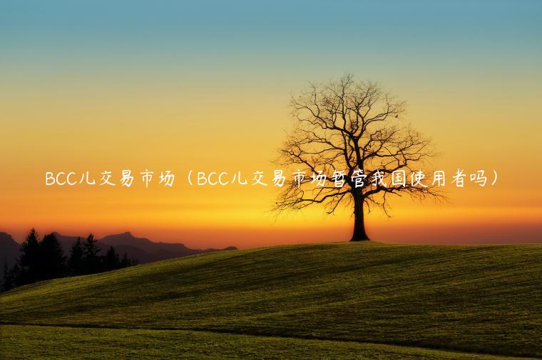 BCC儿交易市场（BCC儿交易市场暂管我国使用者吗）