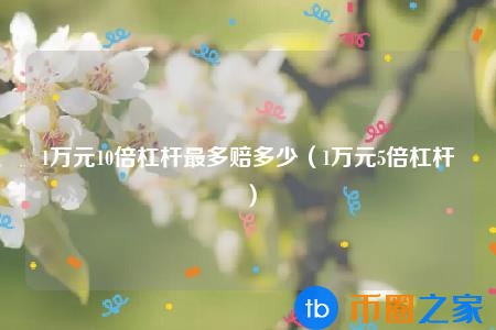 一倍杠杆是多少