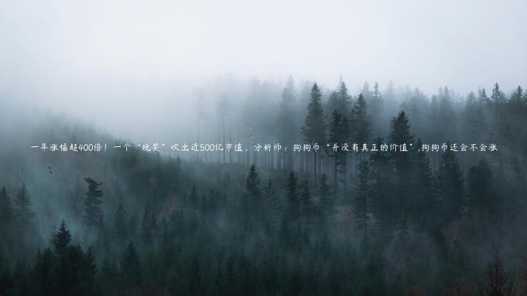 一年涨幅超400倍！一个“玩笑”吹出近500亿市值，分析师：狗狗币“并没有真正的价值”,狗狗币还会不会涨