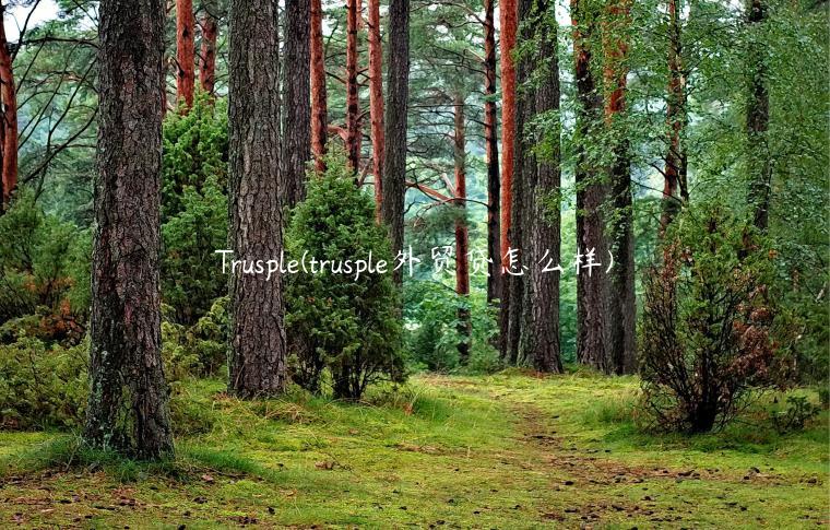 Trusple(trusple外贸贷怎么样)