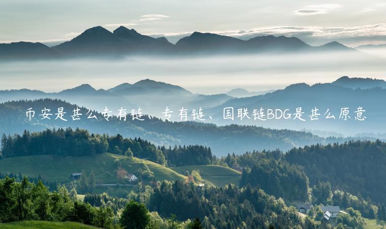 币安是甚么专有链、专有链、国联链BDG是甚么原意