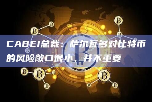 CABEI总裁：萨尔瓦多对比特币的风险敞口很小，并不重要