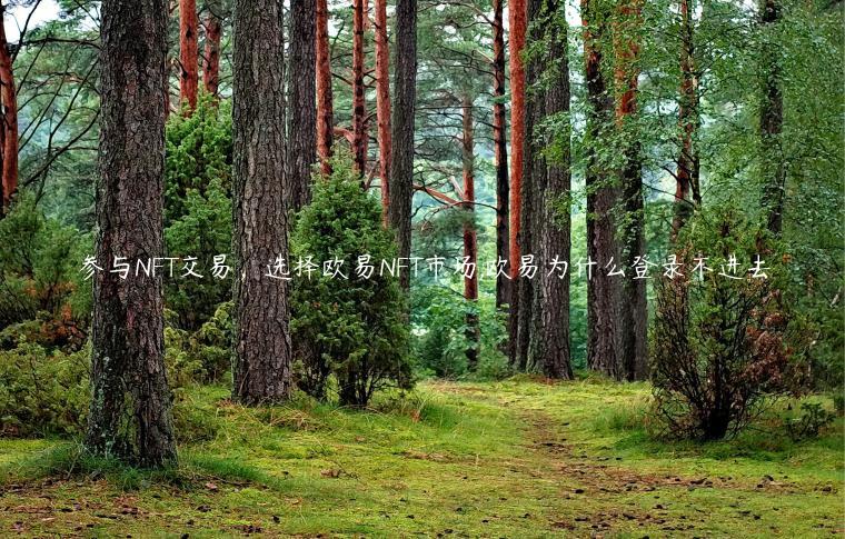 参与NFT交易，选择欧易NFT市场,欧易为什么登录不进去