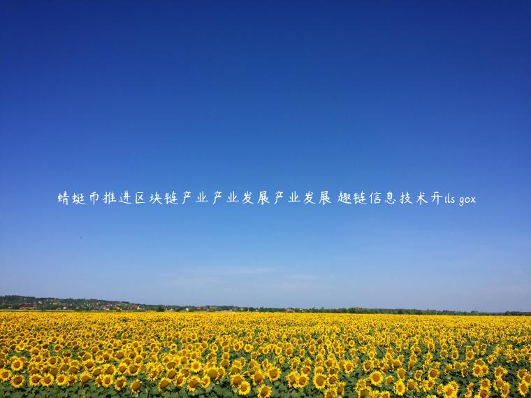 蜻蜓币推进区块链产业产业发展产业发展 趣链信息技术开ils gox