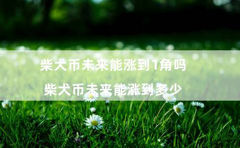 柴犬币未来能涨到1角吗（柴犬币未来能涨到多少）