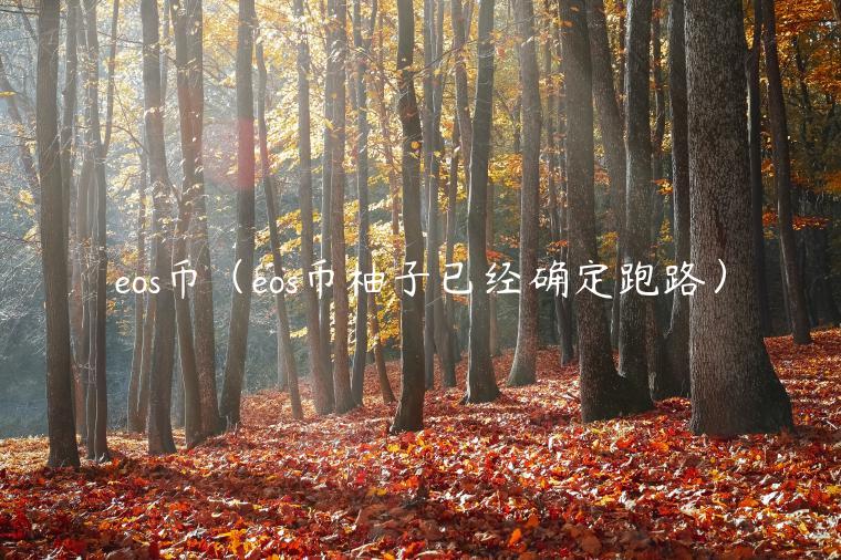 eos币（eos币柚子已经确定跑路）