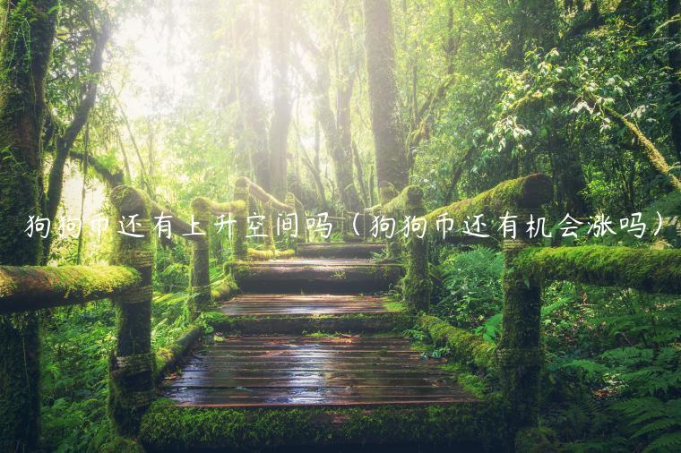 狗狗币还有上升空间吗（狗狗币还有机会涨吗）
