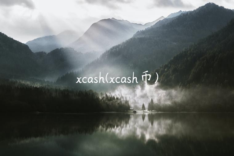 xcash(xcash币)