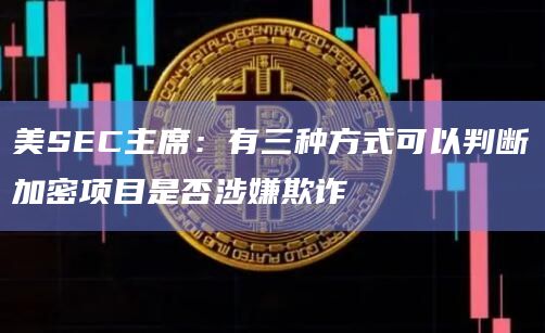 美SEC主席：有三种方式可以判断加密项目是否涉嫌欺诈