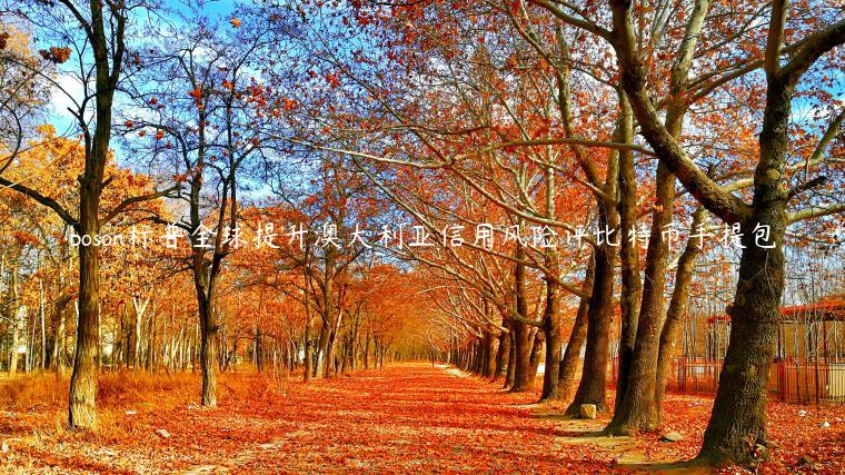 boson标普全球提升澳大利亚信用风险评比特币手提包