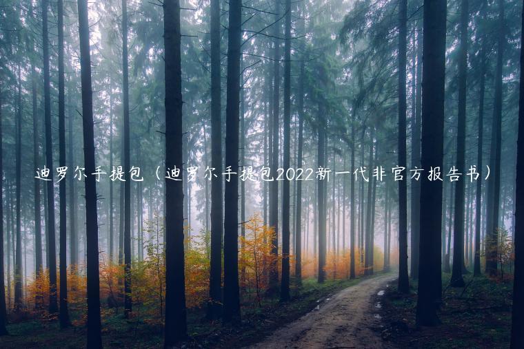 迪罗尔手提包（迪罗尔手提包2022新一代非官方报告书）