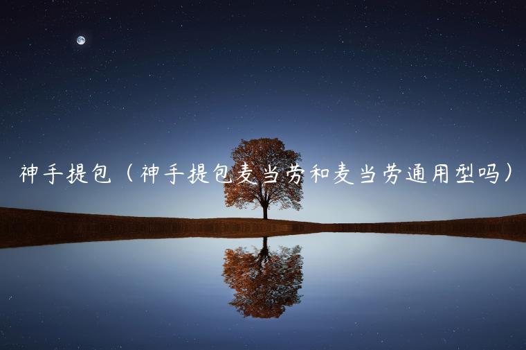 神手提包（神手提包麦当劳和麦当劳通用型吗）