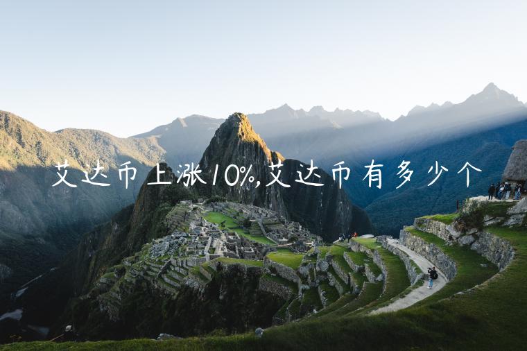艾达币上涨10%,艾达币有多少个