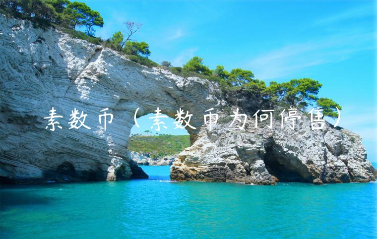 素数币（素数币为何停售）