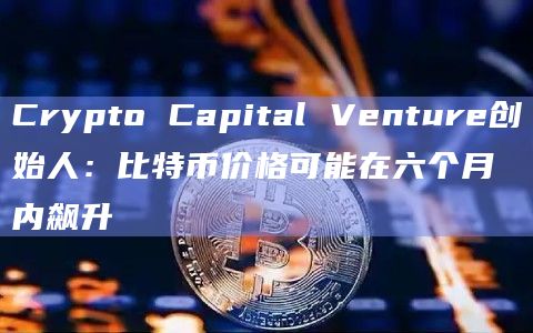 Crypto Capital Venture创始人：比特币价格可能在六个月内飙升