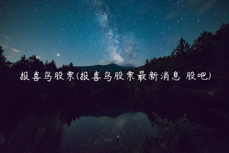 报喜鸟股票(报喜鸟股票最新消息 股吧)
