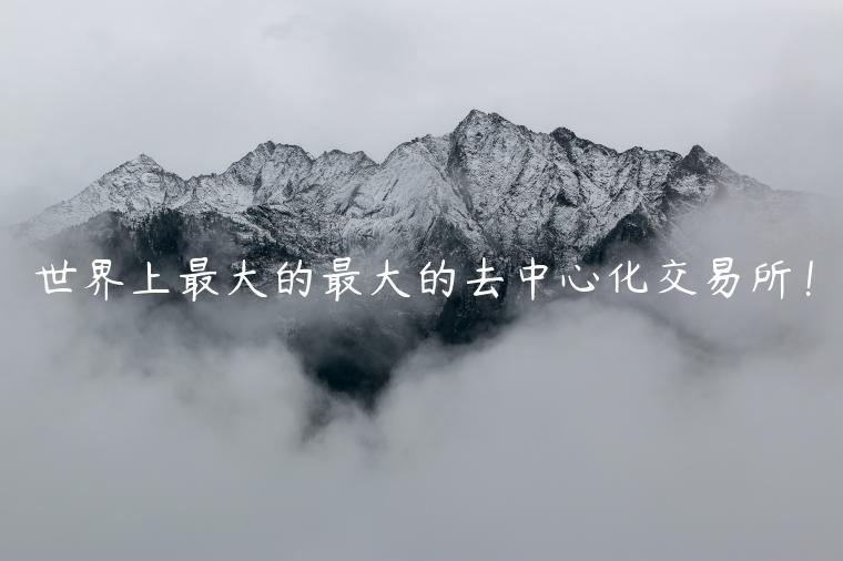 世界上最大的最大的去中心化交易所！