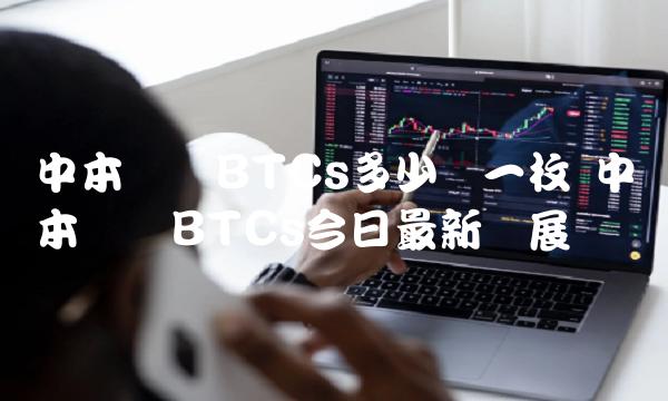 中本聪币BTCs多少钱一枚 中本聪币BTCs今日最新进展-比特号
