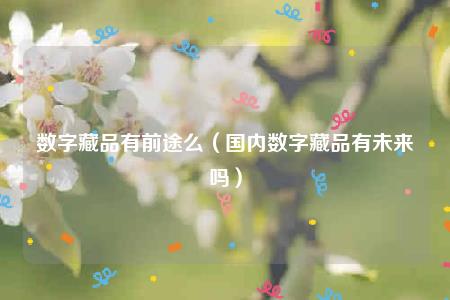 数字藏品有前途么（国内数字藏品有未来吗）