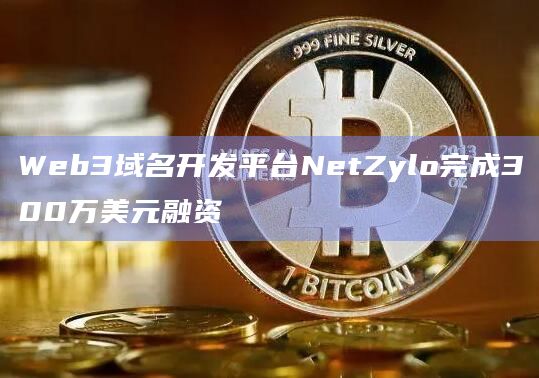 Web3域名开发平台NetZylo完成300万美元融资