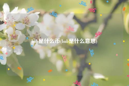 bnb是什么币(bnb是什么意思)