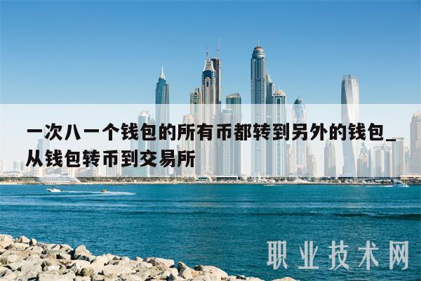 一次八一个钱包的所有币都转到另外的钱包_从钱包转币到交易所
