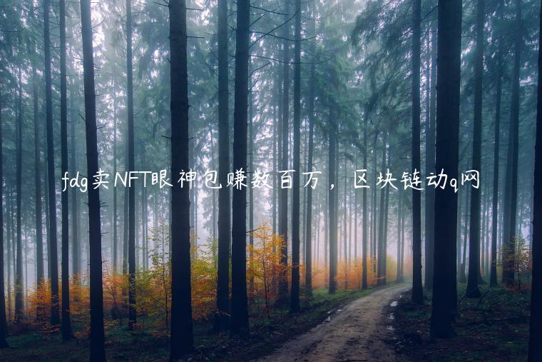 fdg卖NFT眼神包赚数百万，区块链动q网