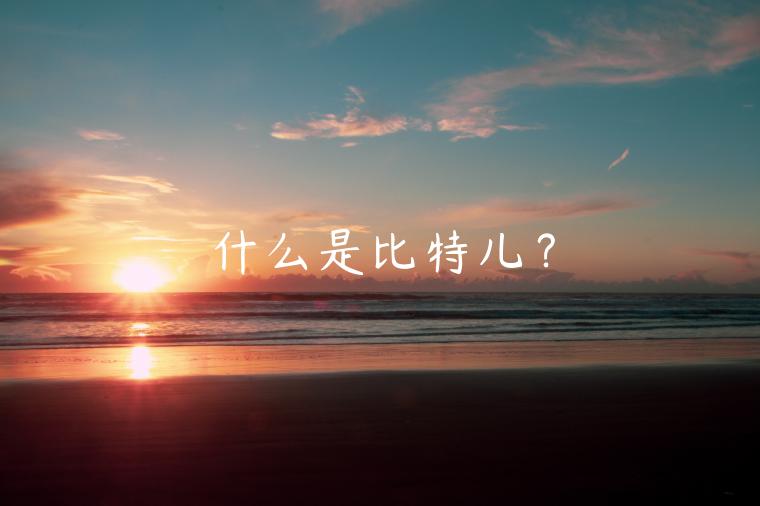 什么是比特儿？