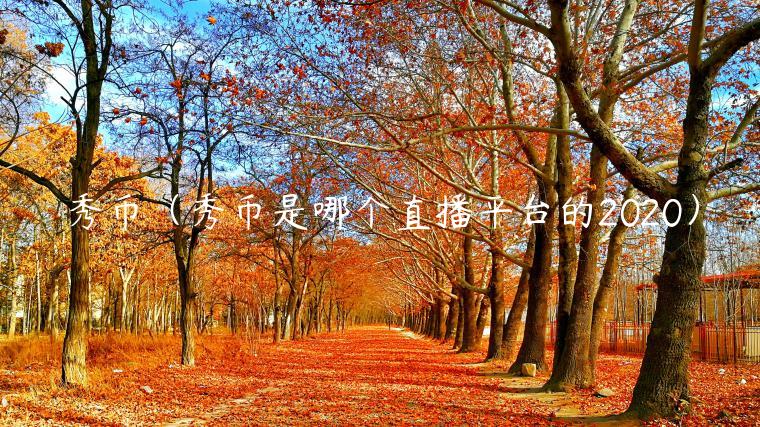 秀币（秀币是哪个直播平台的2020）