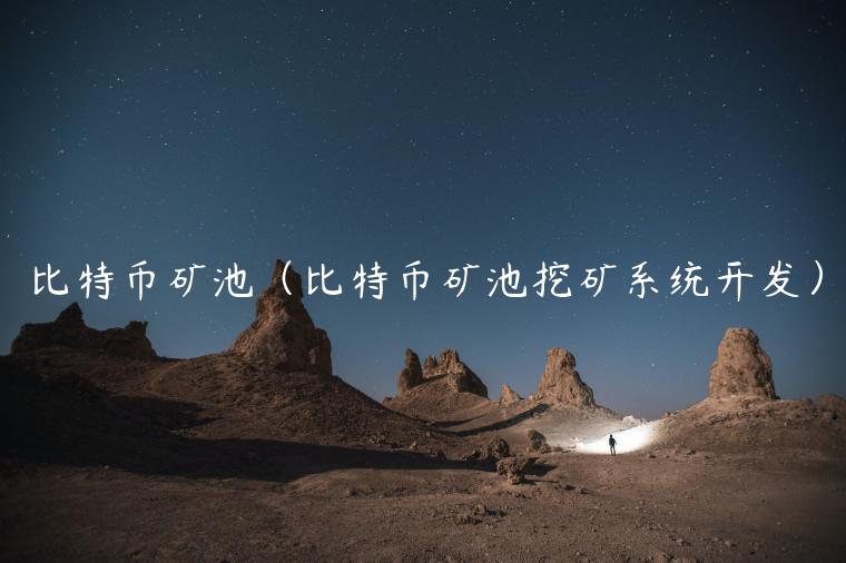 比特币矿池（比特币矿池挖矿系统开发）