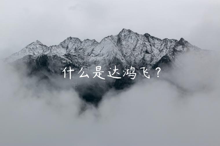什么是达鸿飞？