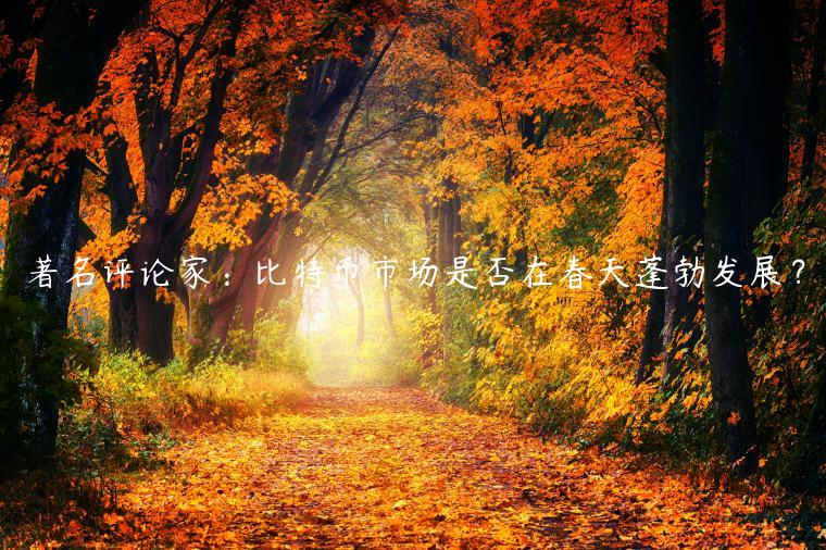 著名评论家：比特币市场是否在春天蓬勃发展？