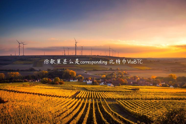 徐歌星甚么是corresponding 比特币ViaBTC