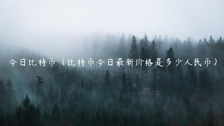 今日比特币（比特币今日最新价格是多少人民币）
