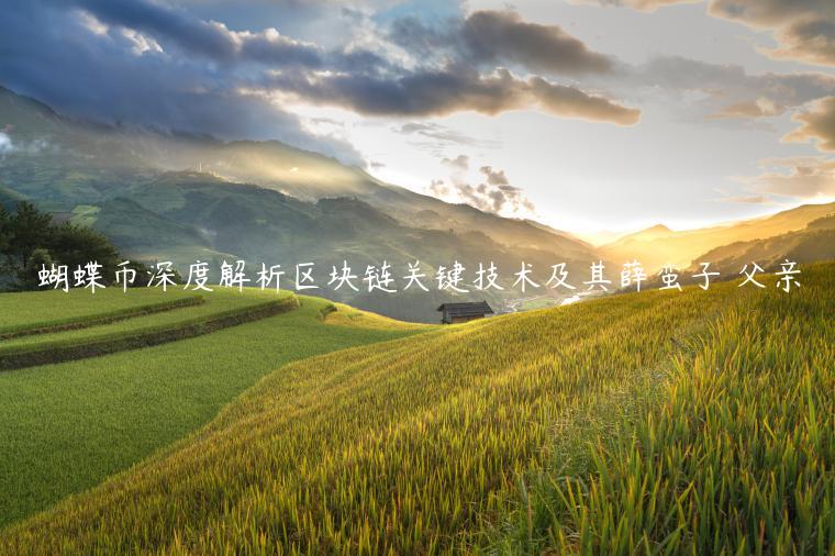 蝴蝶币深度解析区块链关键技术及其薛蛮子 父亲