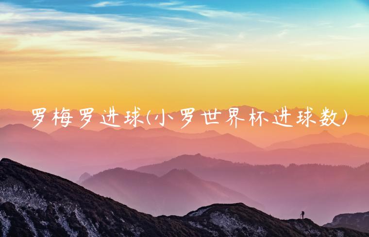 罗梅罗进球(小罗世界杯进球数)