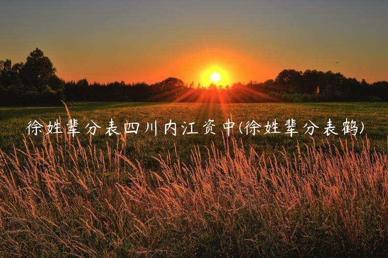 徐姓辈分表四川内江资中(徐姓辈分表鹤)