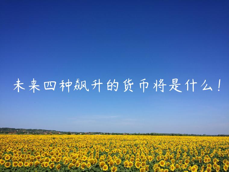未来四种飙升的货币将是什么！