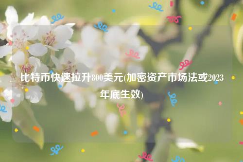 比特币快速拉升800美元(加密资产市场法或2023年底生效)