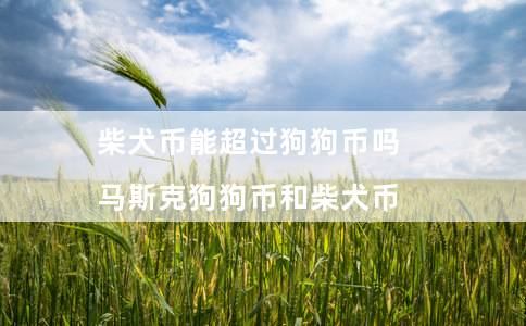 柴犬币能超过狗狗币吗（马斯克狗狗币和柴犬币）
