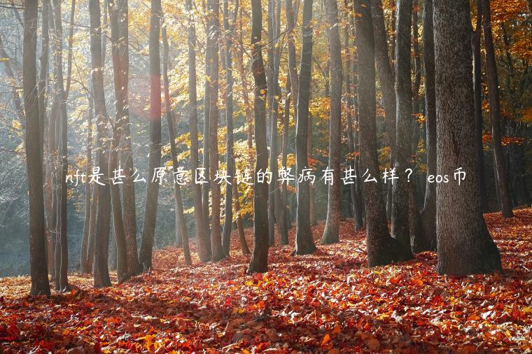nft是甚么原意区块链的弊病有甚么样？ eos币
