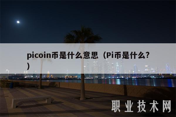 picoin币是什么意思（Pi币是什么？）