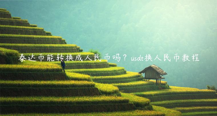 泰达币能转换成人民币吗？usdt换人民币教程