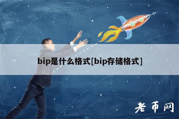 bip是什么格式[bip存储格式]