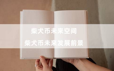 柴犬币未来空间（柴犬币未来发展前景）