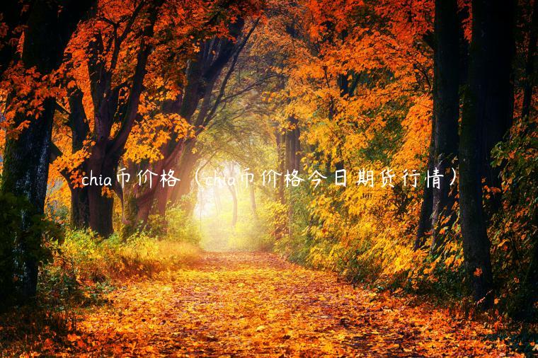 chia币价格（chia币价格今日期货行情）