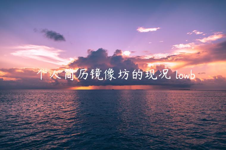 僴个人简历镜像坊的现况 lowb