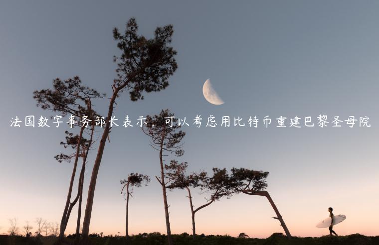 法国数字事务部长表示，可以考虑用比特币重建巴黎圣母院