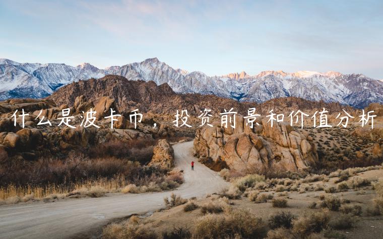 什么是波卡币，投资前景和价值分析