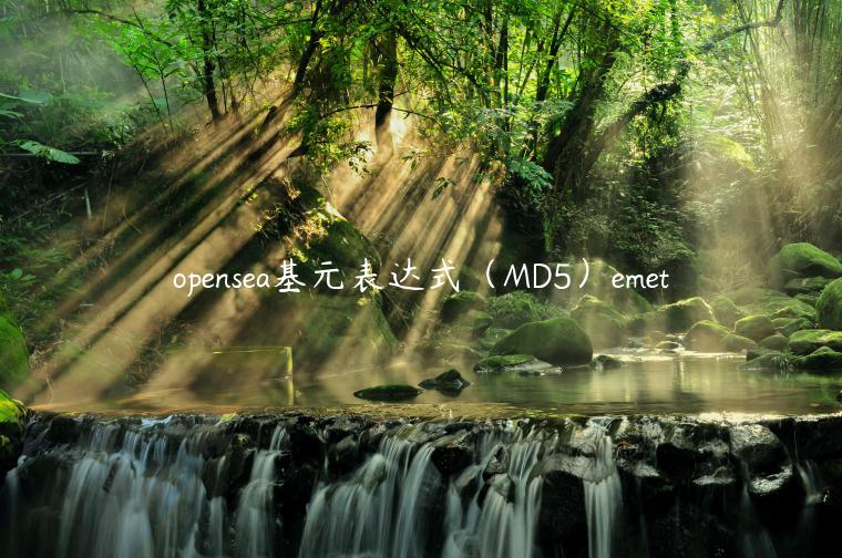 opensea基元表达式（MD5）emet